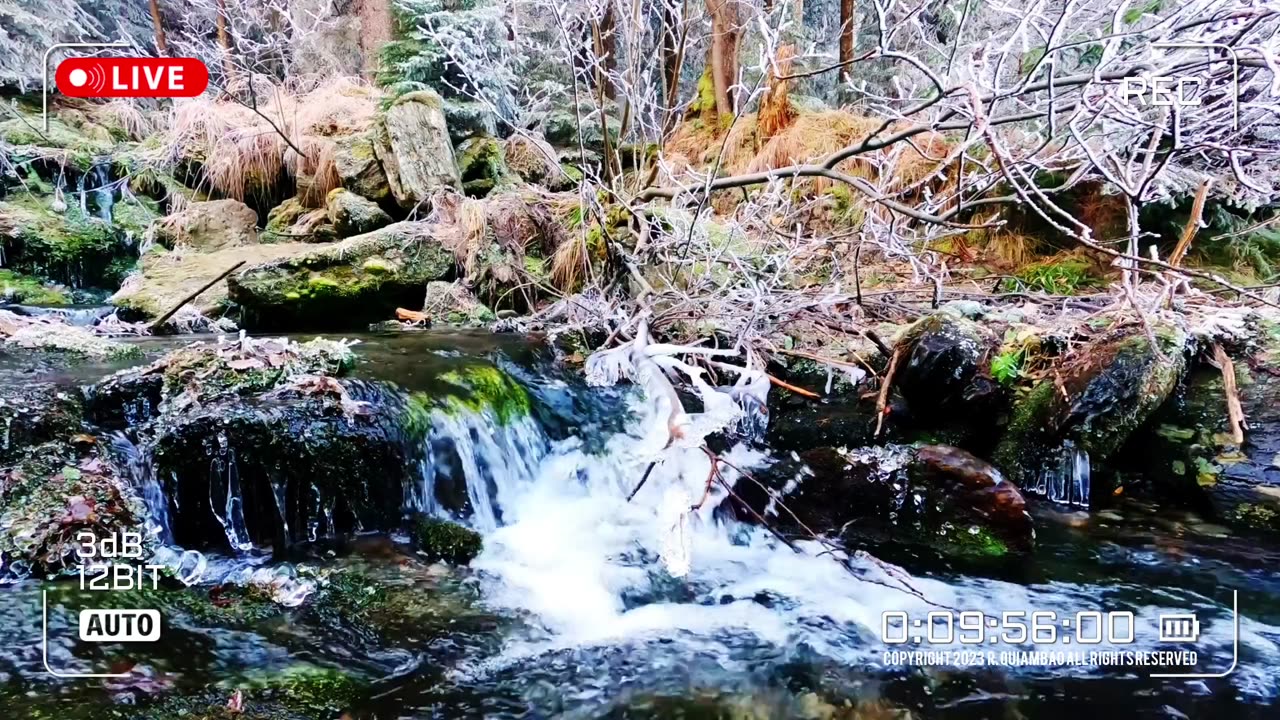 Nature Therapy | Asmr Video No. 080🌈