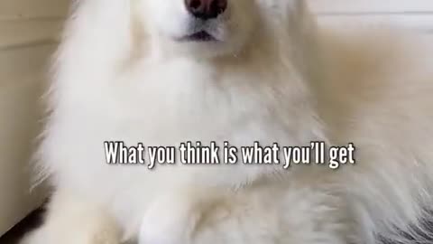 ENCOURAGING WORDS FOR YOU; LISTEN AND READ!