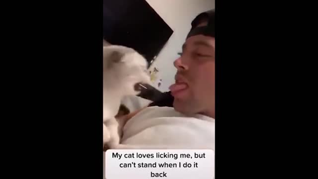Try not to laugh Compilations 20