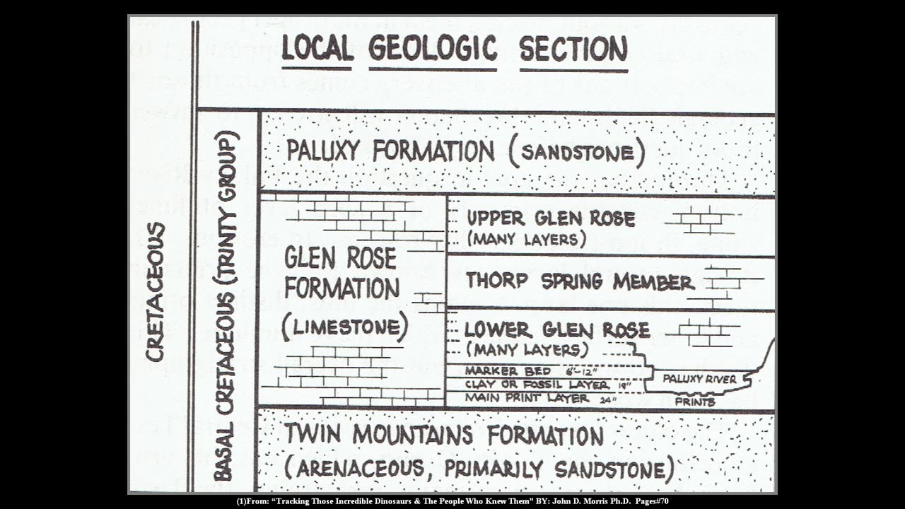 The Formation of Tracks (Dinosaur & Human Tracks Part#6)