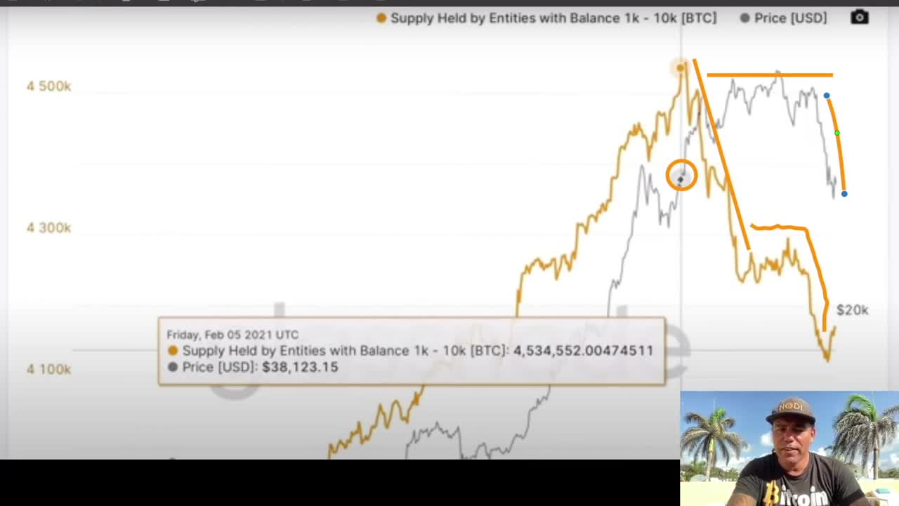 INSANE!😱 BITCOIN IT IS A WHALES WORLD AND THEY JUST CONFIRM THE NEXT MOVE⤵️⤴️〽️