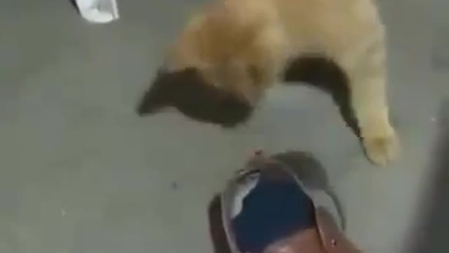 It is hard to be Stay at home