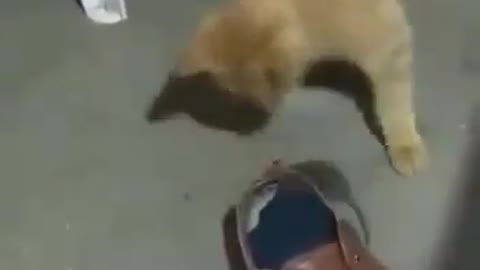 It is hard to be Stay at home