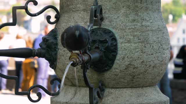 Watch the video, how do pigeons drink water from the tap?