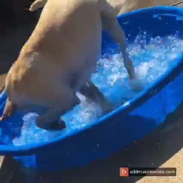 Freddie having the time of his life