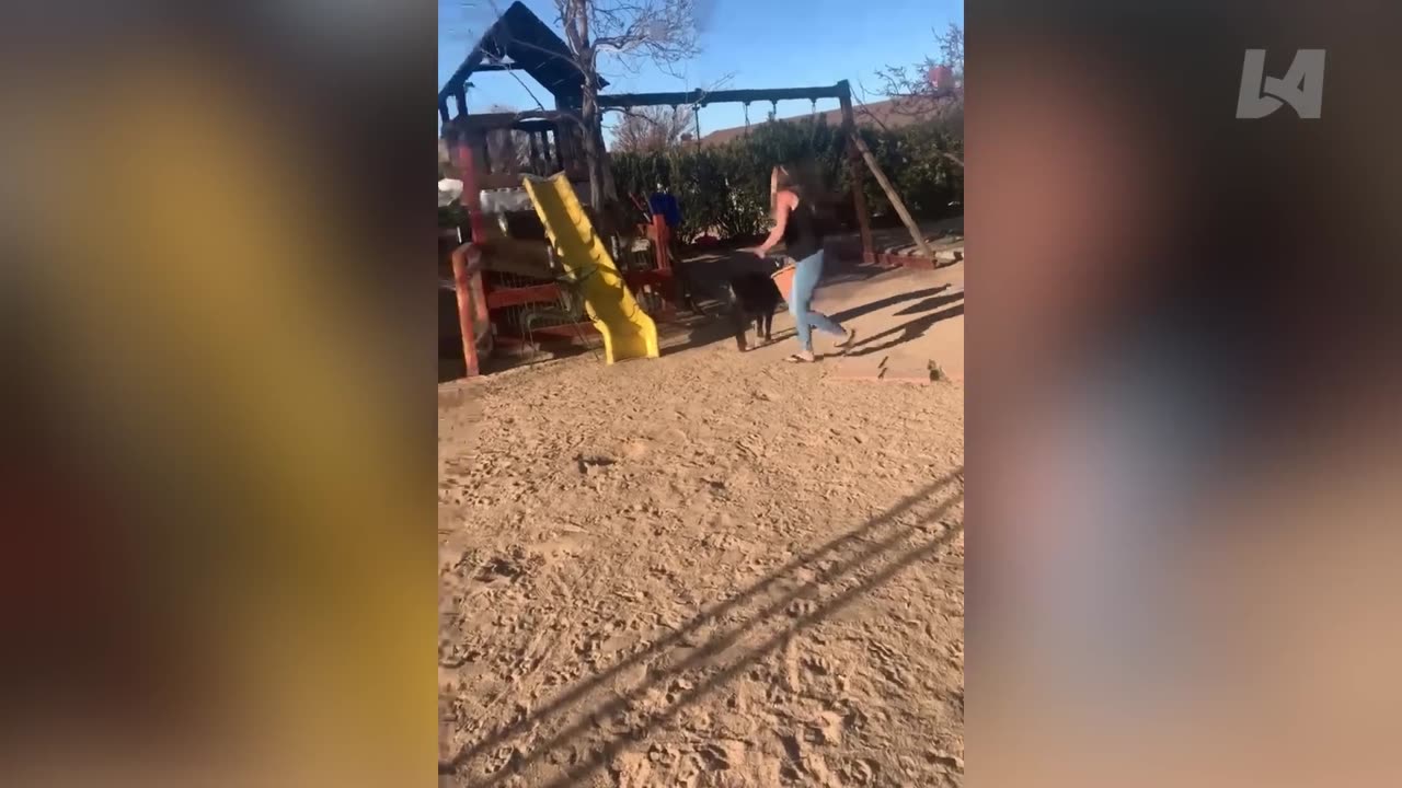 TRY NOT TO LAUGH Funny Videos - Funniest Unexpected Fails Compilation