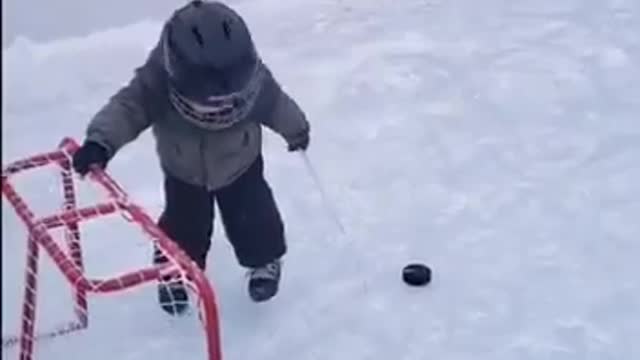 This little guys got it figured out.