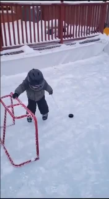 This little guys got it figured out.