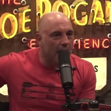Joe Rogan has Some Words About the Brittney Griner Situation