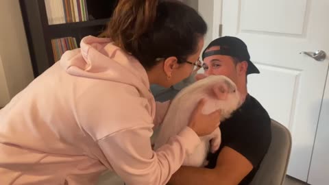 Pinky the Pig Betrays Mom