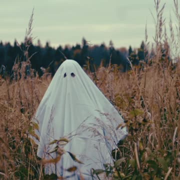 Holman(හොල්මන් )