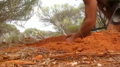 Aussie Finds A 44 gram Gold Nugget In The Outback And Loses His Mind