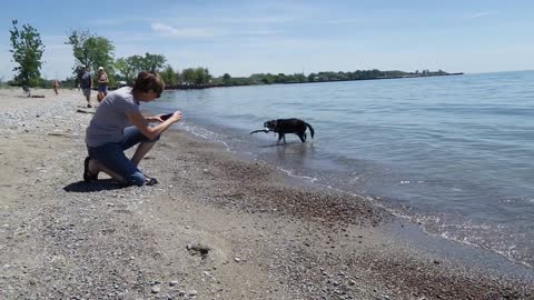 LUKE'S INCREDIBLE BEACH ADVENTURE