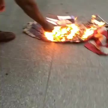 BLM video 2 Burning the Flag and Fox Personalities