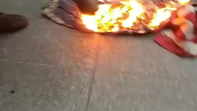 BLM video 2 Burning the Flag and Fox Personalities