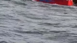 Head First Off a Fishing Boat Fail