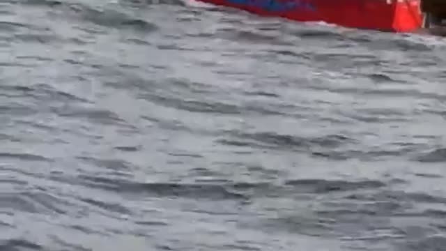 Head First Off a Fishing Boat Fail