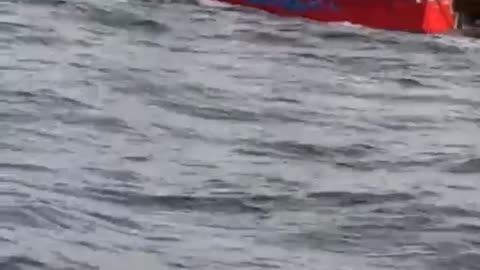 Head First Off a Fishing Boat Fail