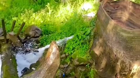 Work with water faul best ideas & innovation 🥰