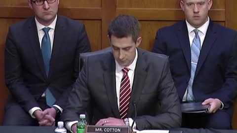 Tom Cotton: "We are witnessing a breakdown of society."