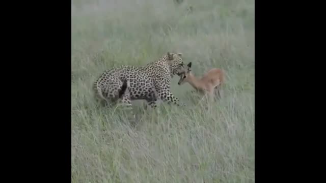 cute two friends