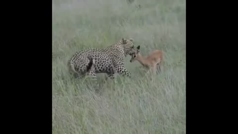 cute two friends