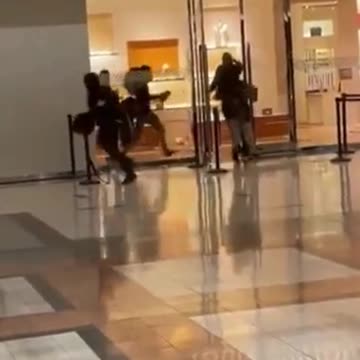 Pillage chez Louis Vuitton..