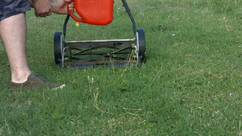 Does Lighting Your Mower On Fire Improve Performance