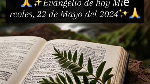 🙏✨Evangelio de hoy Miércoles, 22 de Mayo del 2024✨🙏