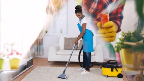 Vilma Cleaning Service - (832) 281-1004