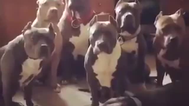 Going into the wrong kitchen