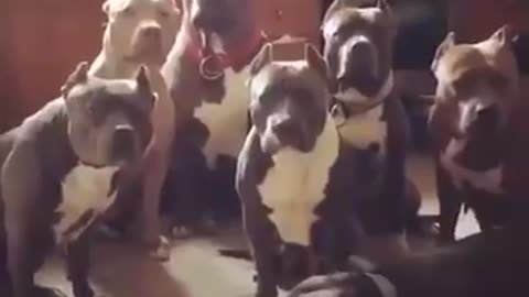 Going into the wrong kitchen