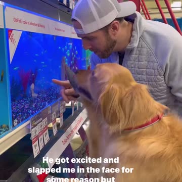 The most spoiled dog and his special day of the week, Teddy Tuesday!!