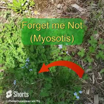 Laurentian Test Bed 1