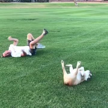 What is the best caption for this super cute dog Let’s try this practice with our lovely dog today