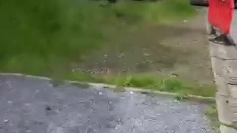 Stupidity at it's finest