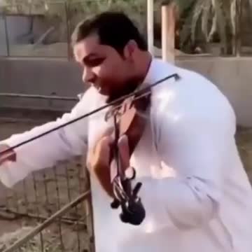 talented violinist