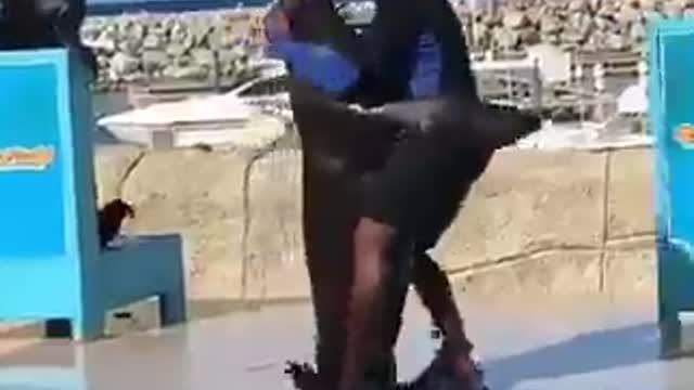 Una pareja así quiero