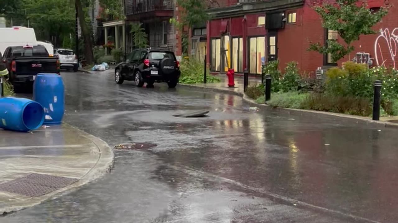 Canadian Ninja Turtles Attempt Sewer Escape