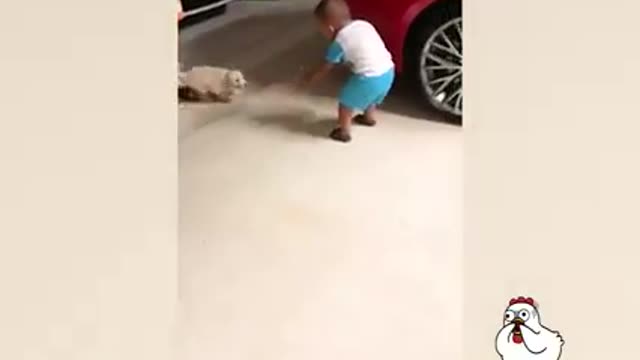 The funny pet dogs and baby children funny video