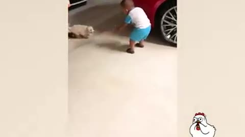 The funny pet dogs and baby children funny video