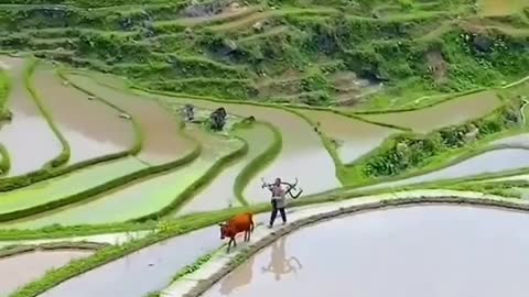 India ka kisan khati