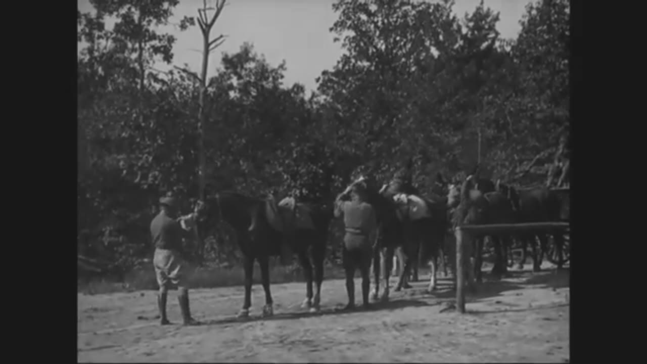 Chemical Warfare Training 1918-1919