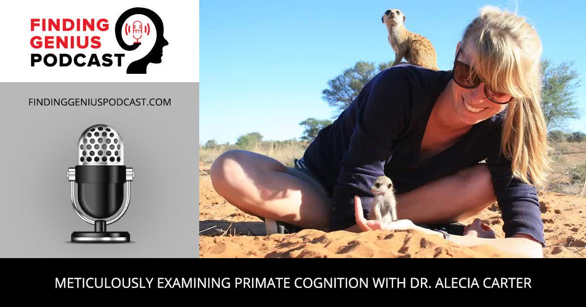 Meticulously Examining Primate Cognition With Dr. Alecia Carter