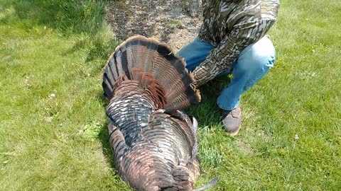 Andrew's Turkey 2021