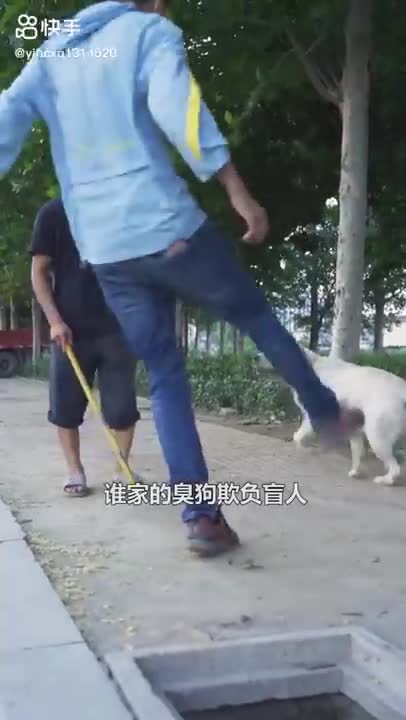 Dog save blind man life