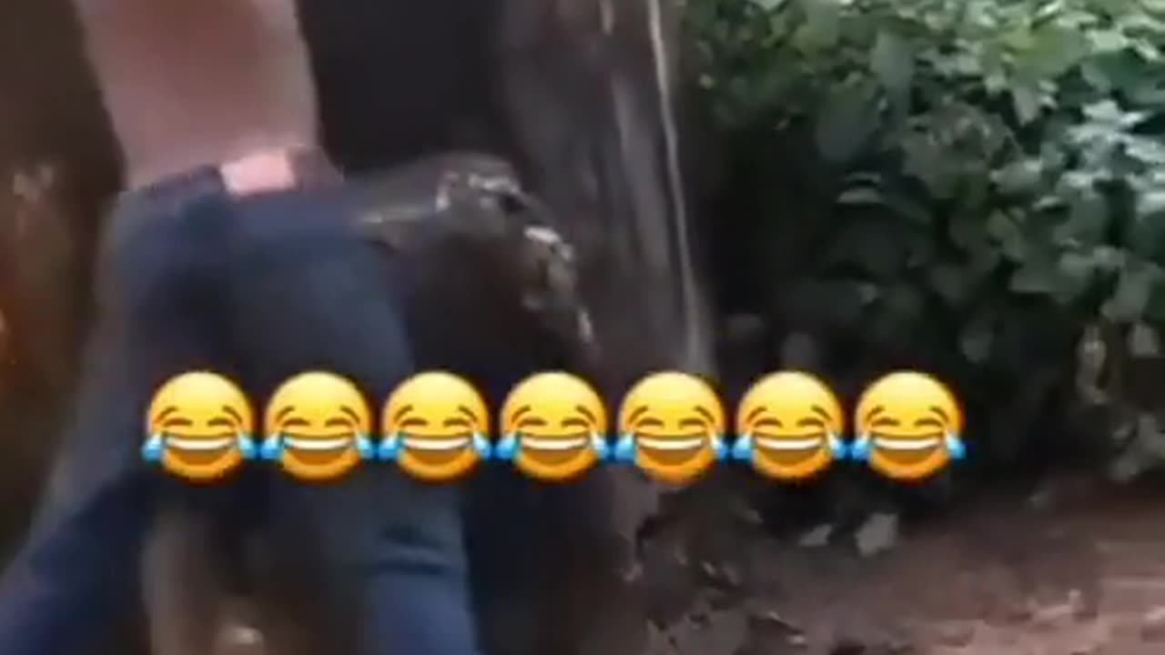 Comedy