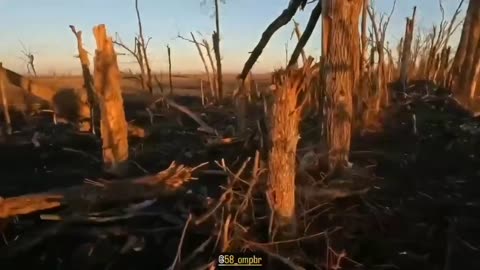 Walking The Front Lines