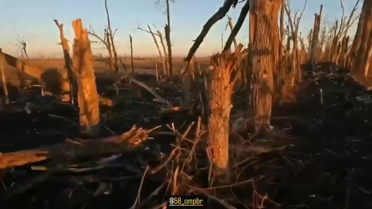 Walking The Front Lines