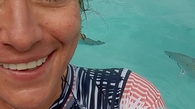 2022 Compass Cay Bahamas Swimming with sharks